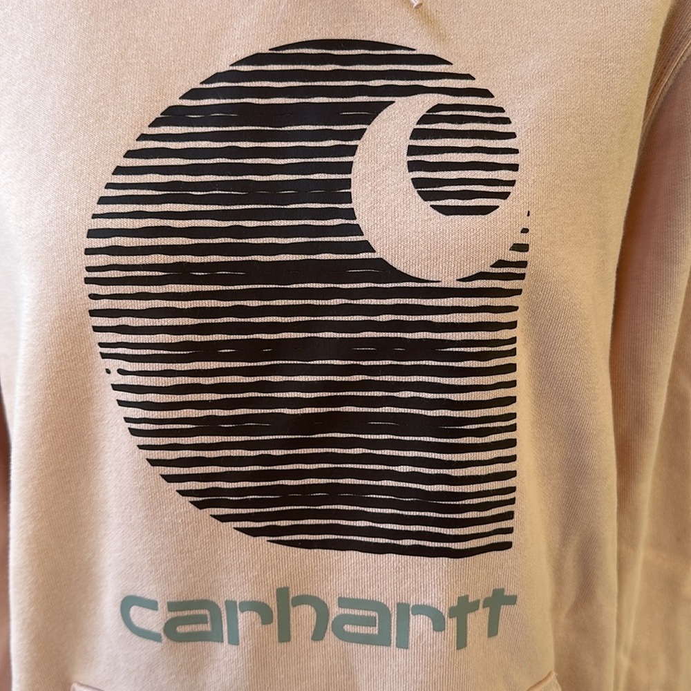 Carhartt Rain Defender Relaxed Fit Midweight Graphic Hoodie - Picture 6 of 15